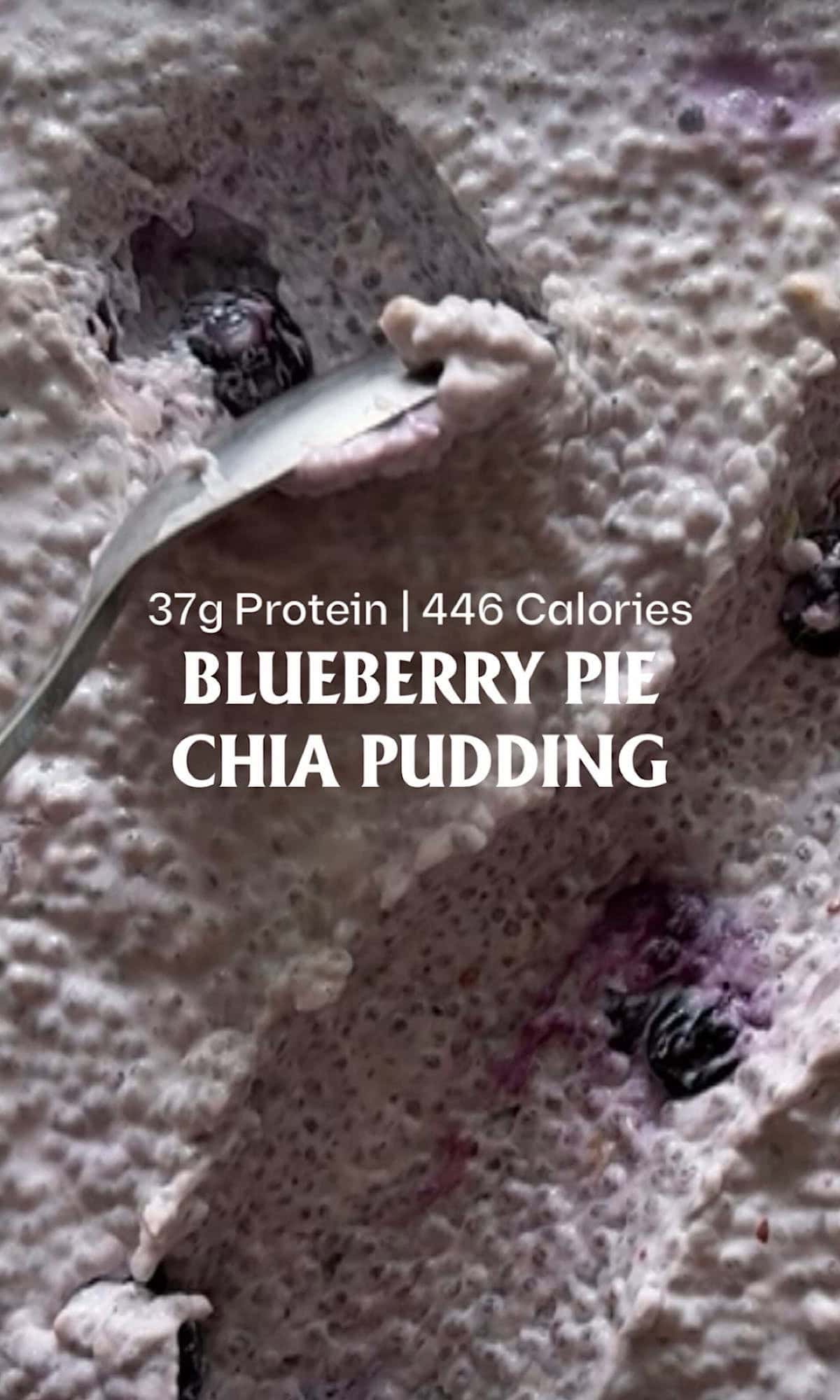 blueberry pie chia pudding hero