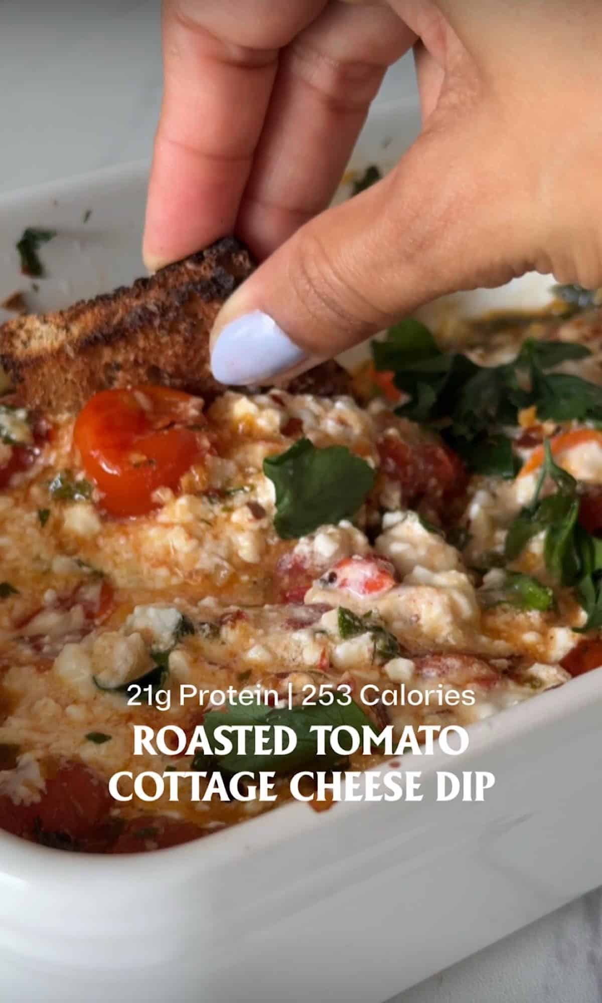 roasted tomato cottage cheese dip hero