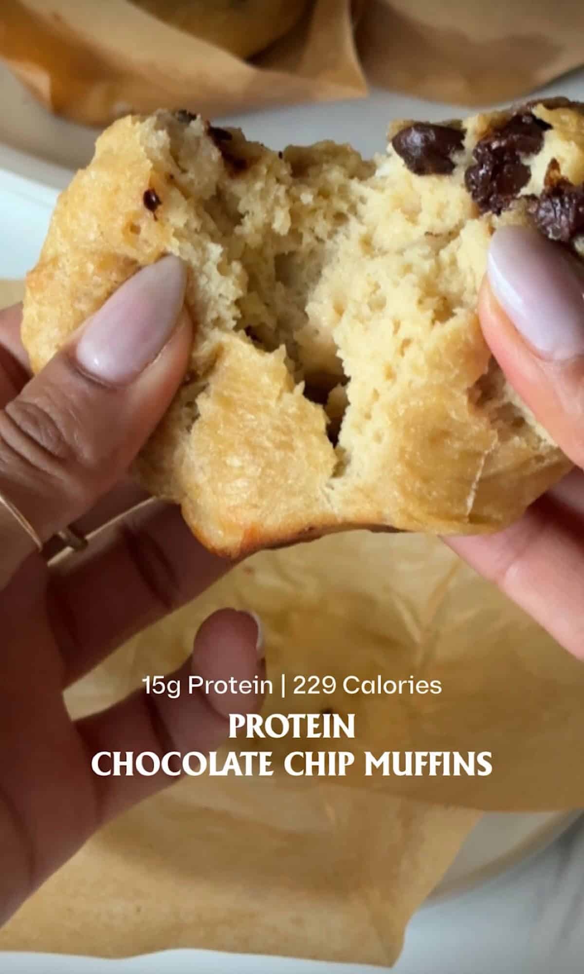 protein chocolate chip muffins hero