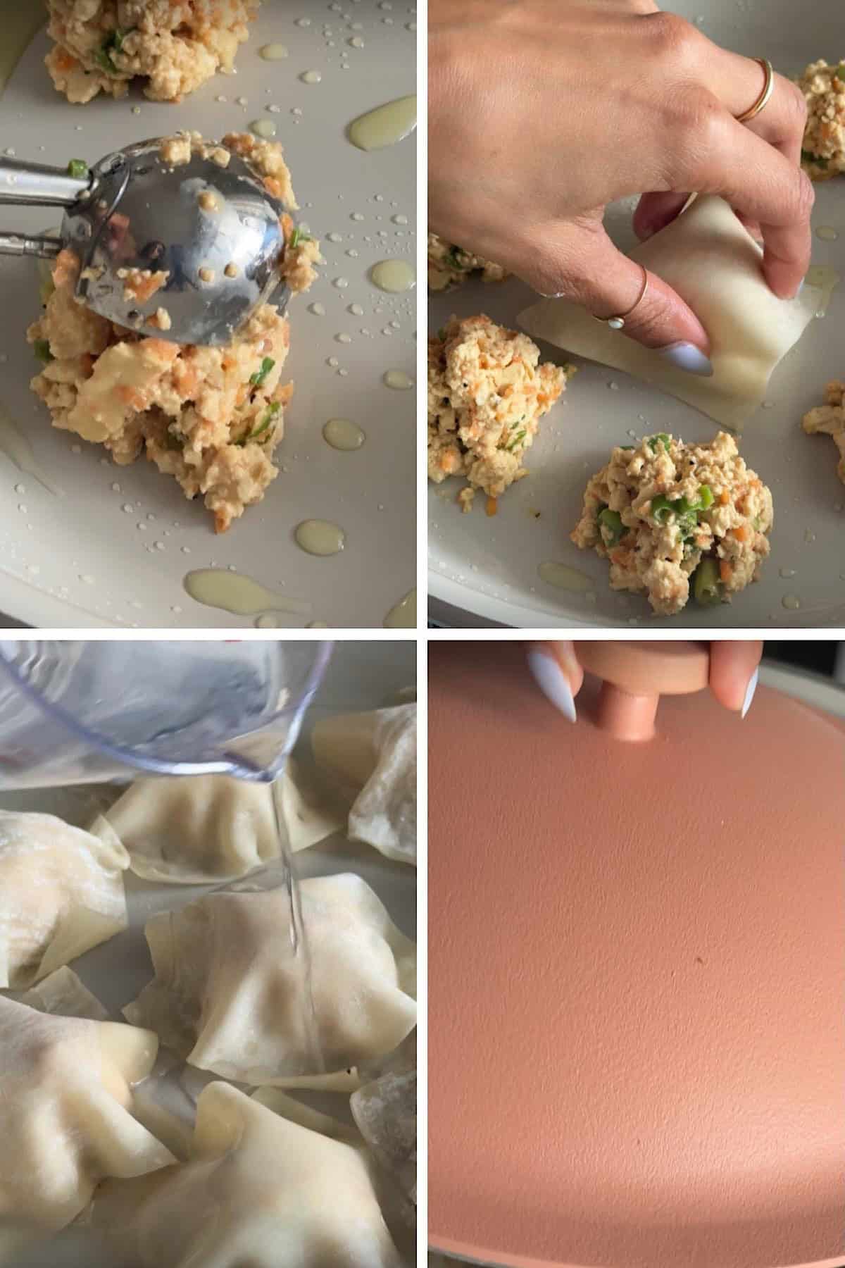 tofu no fold dumplings 02 1