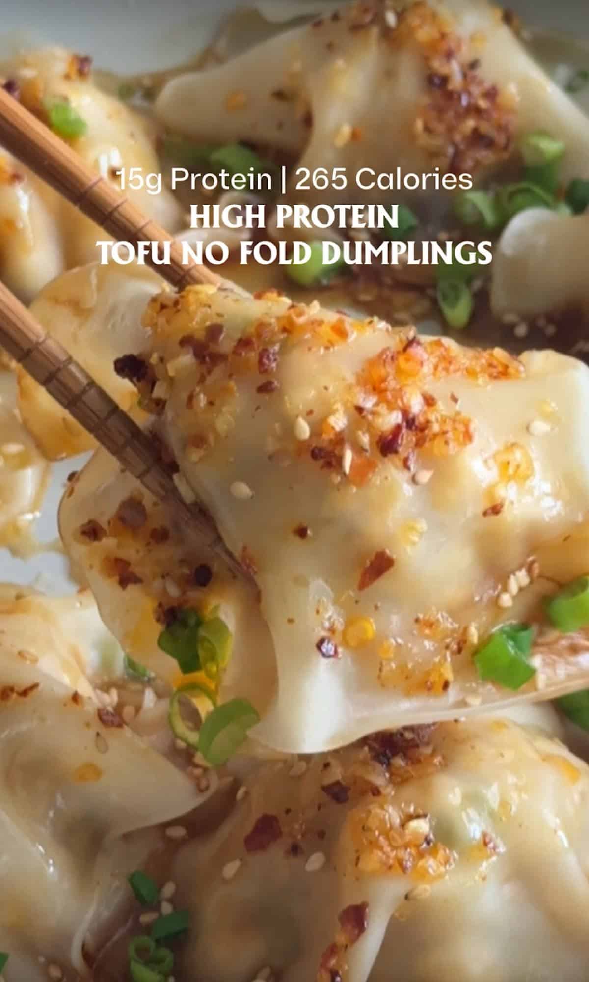 tofu no fold dumplings hero 1